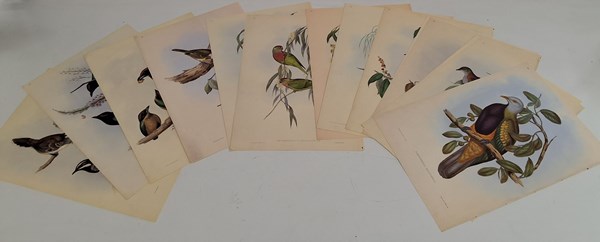 Lot 1145 - JOHN GOULD