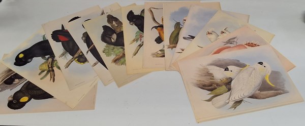 Lot 1176 - JOHN GOULD