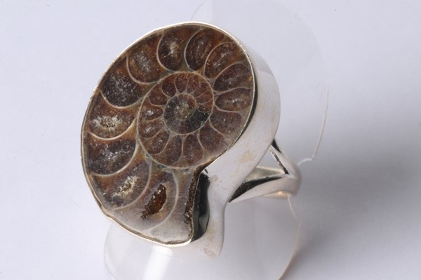 Lot 1011 - FOSSIL RING