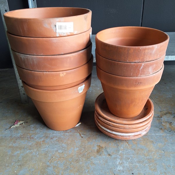 Lot 404 - PLANT POTS