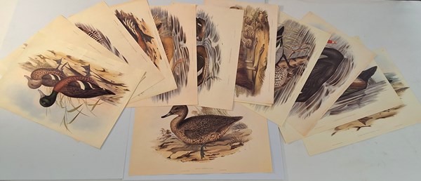 Lot 1367 - JOHN GOULD