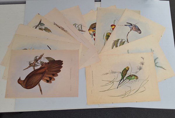 Lot 1191 - JOHN GOULD