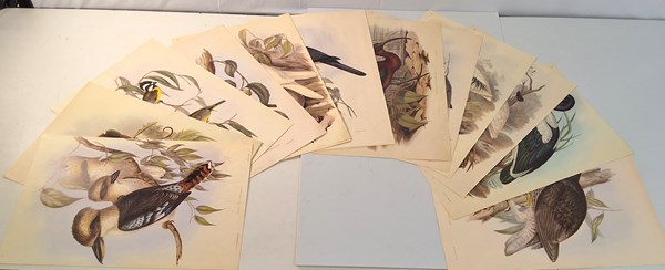 Lot 1363 - JOHN GOULD