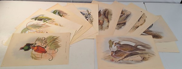 Lot 1160 - JOHN GOULD