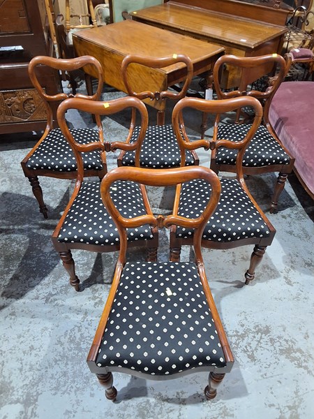 Lot 303 - DINING CHAIRS