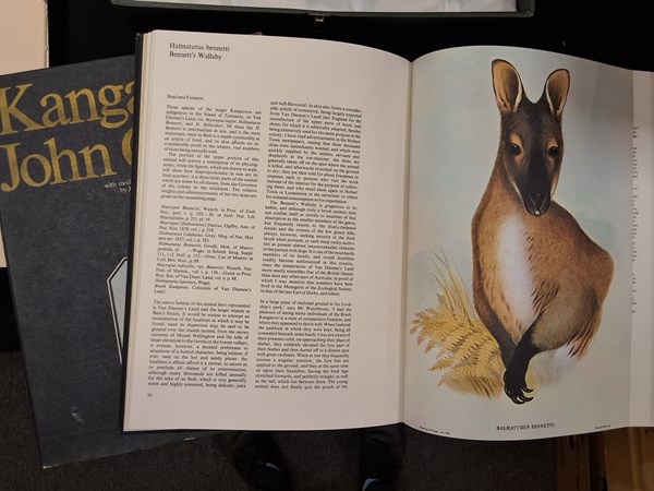 Lot 1357 - JOHN GOULD