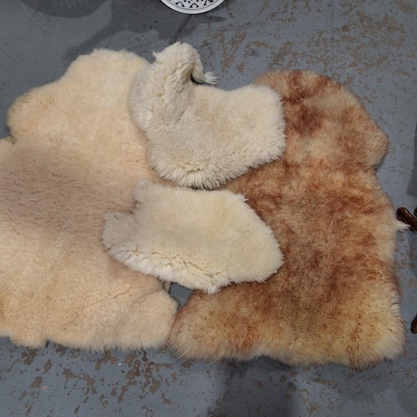 Lot 266 - SHEEPSKINS