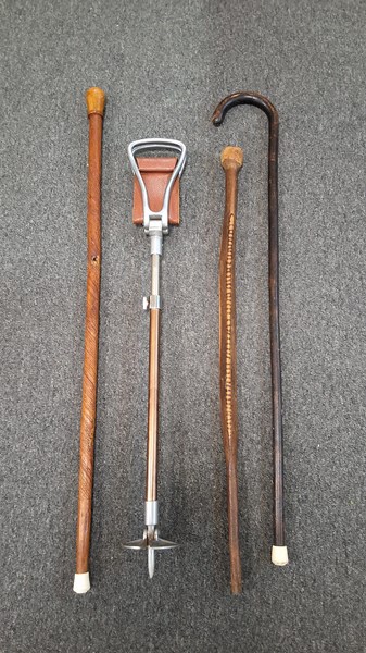 Lot 1266 - WALKING STICKS