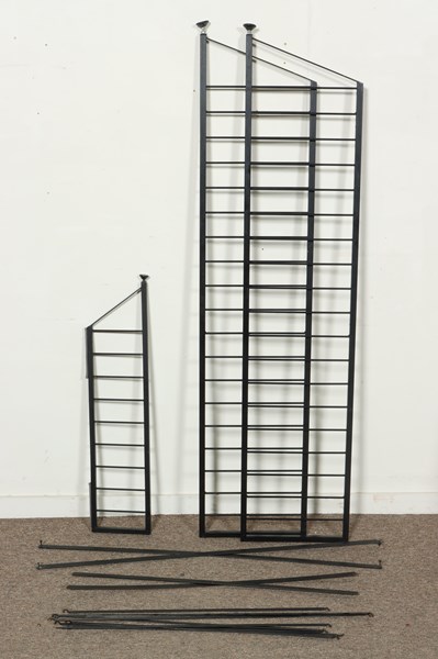 Lot 311 - LADDERAX PARTS