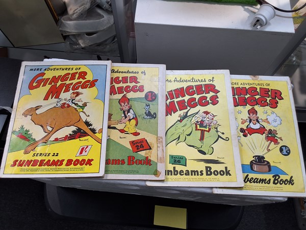 Lot 1117 - GINGER MEGGS BOOKS