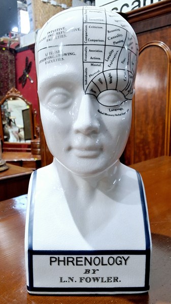 Lot 1268 - PHRENOLOGY HEAD