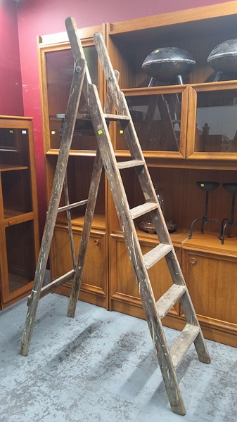 Lot 251 - STEP LADDER