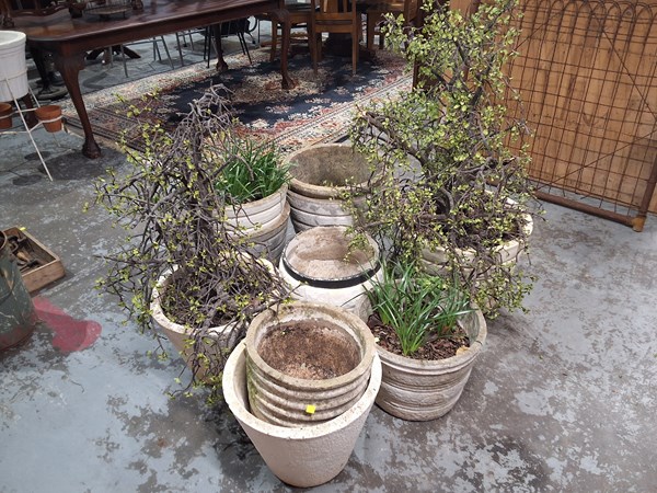 Lot 412 - PLANT POTS