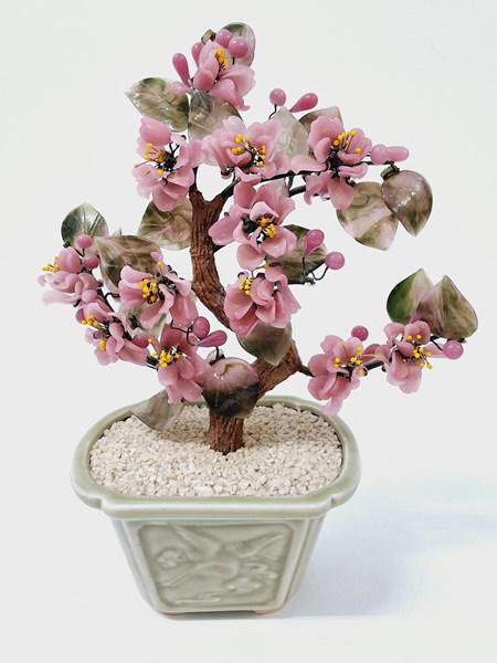 Lot 1295 - JADESTONE TREE