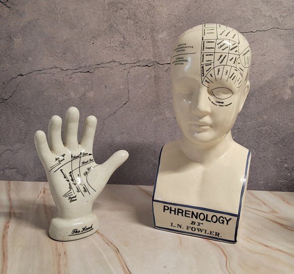 Lot 1155 - PHRENOLOGY HEAD