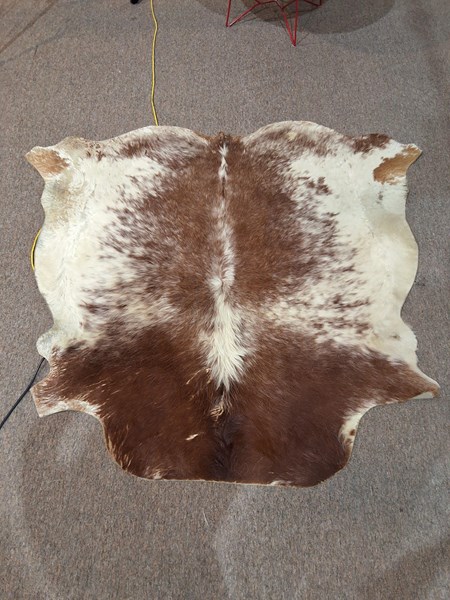 Lot 101 - COW HIDE