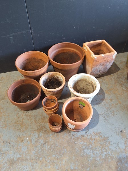 Lot 378 - POTS