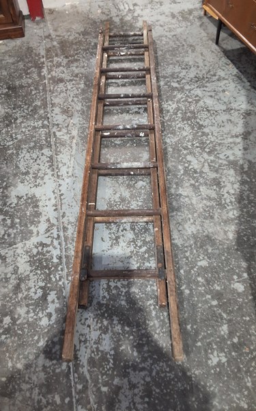 Lot 262 - LADDER