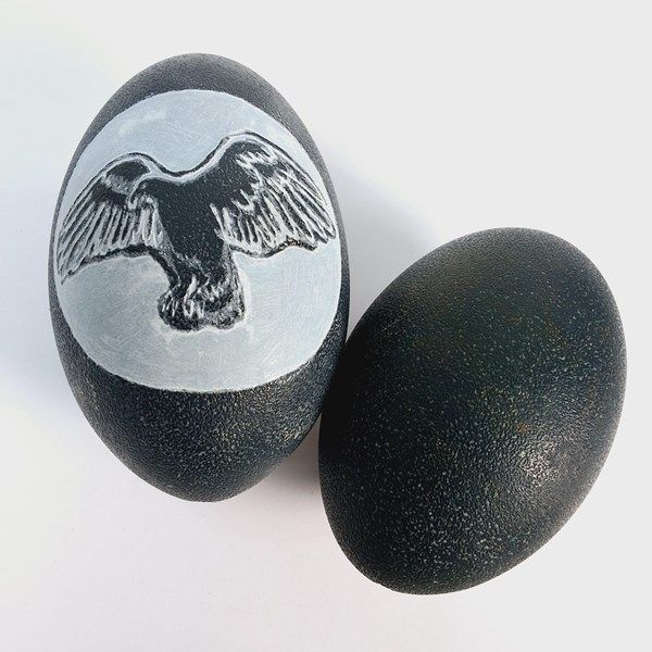 Lot 1113 - EMU EGGS