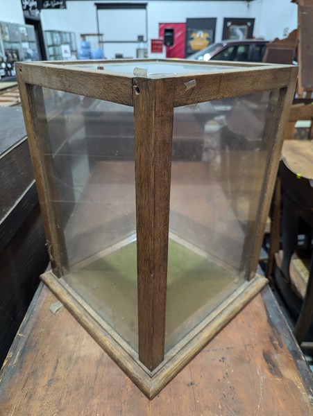 Lot 196 - DISPLAY CASE