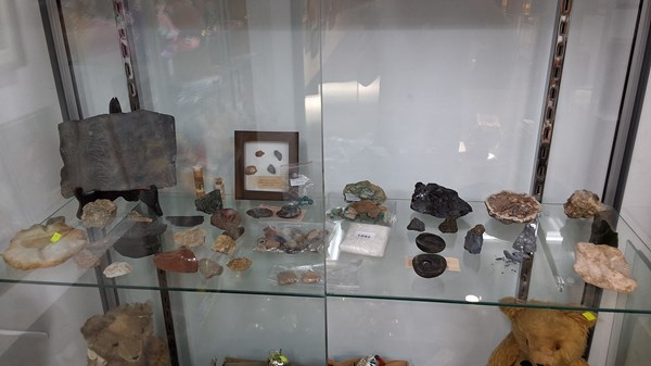 Lot 1092 - MINERAL SPECIMENS