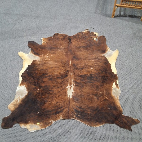 Lot 46 - COW HIDE