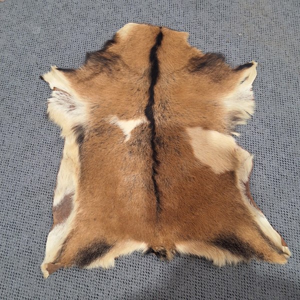 Lot 11 - GOAT HIDE