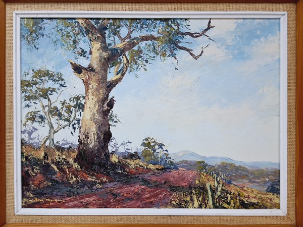 Lot 1116 - PETER MATTHEWS