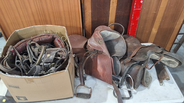 Lot 238 - HORSE EQUIPMENT