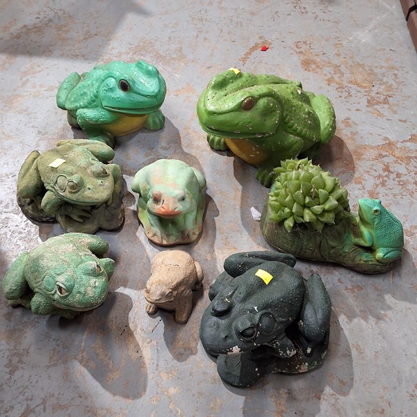 Lot 328 - FROGS