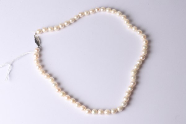 Lot 1013 - PEARL NECKLACE