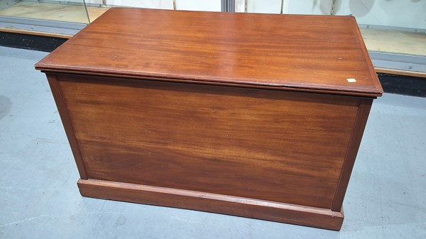 Lot 496 - BLANKET BOX