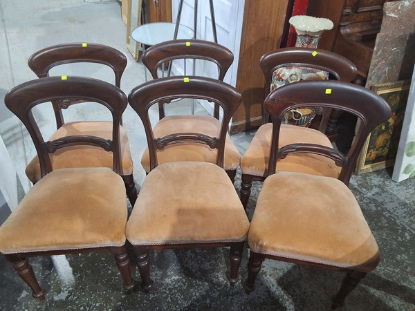 Lot 217 - DINING CHAIRS