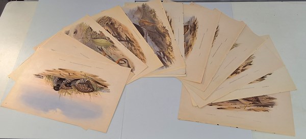 Lot 1162 - JOHN GOULD