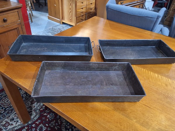 Lot 207 - TRAYS