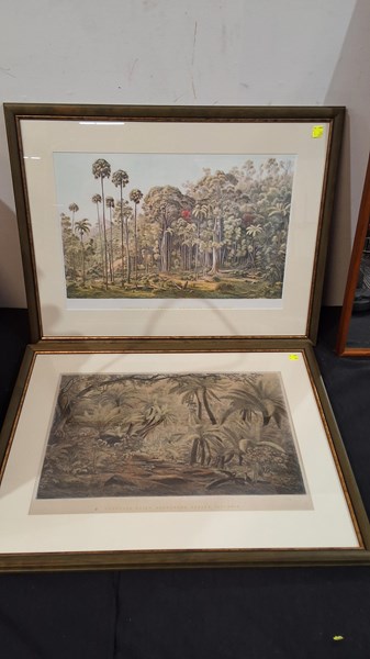 Lot 119 - LITHOGRAPHS