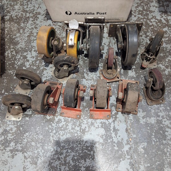 Lot 250 - CASTORS