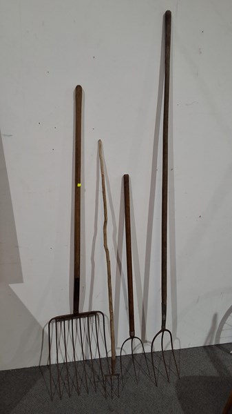 Lot 319 - GARDEN FORKS