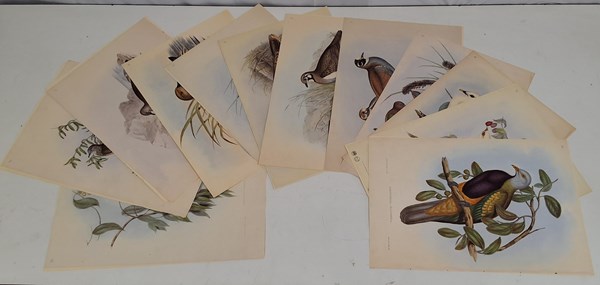 Lot 1682 - JOHN GOULD