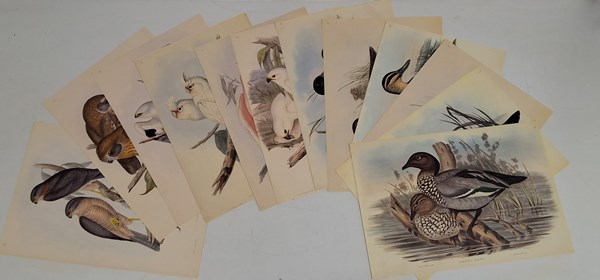 Lot 1678 - JOHN GOULD