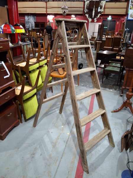 Lot 257 - LADDER