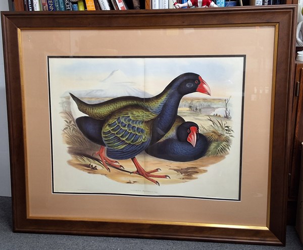 Lot 1103 - JOHN GOULD