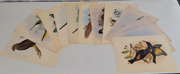 Lot 1328 - JOHN GOULD