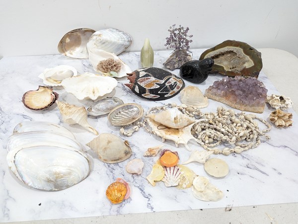 Lot 1416 - SHELLS AND MINERALS