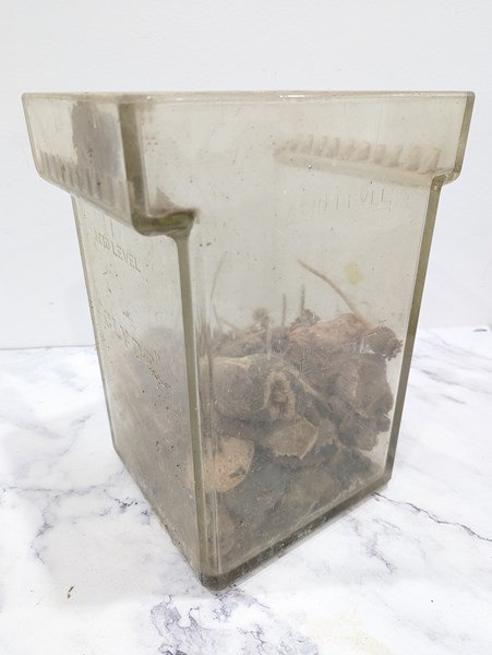 Lot 310 - BATTERY JAR