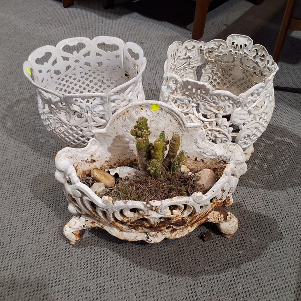 Lot 595 - PLANTERS