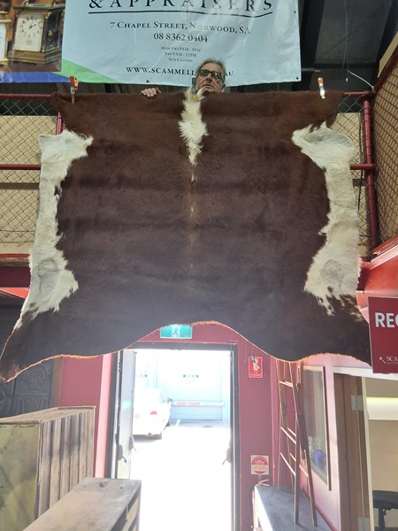 Lot 96 - COW HIDE