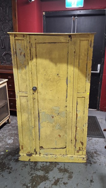 Lot 294 - LINED CUPBOARD