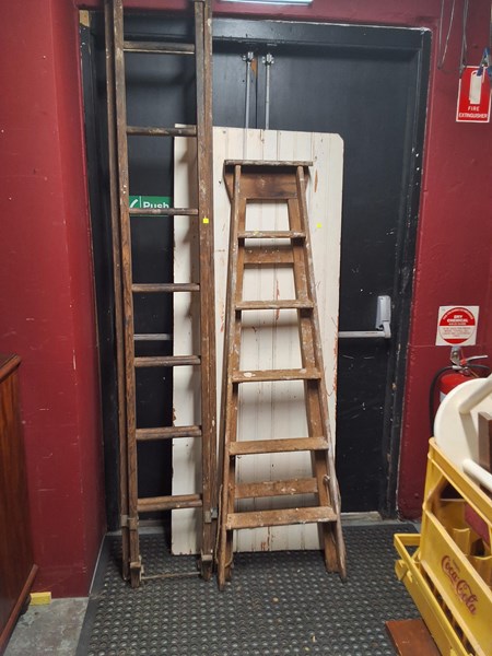 Lot 489 - LADDERS AND DOOR