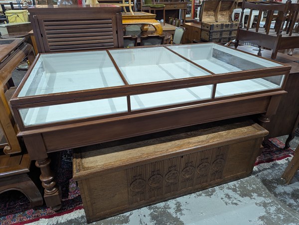 Lot 235 - MUSEUM DISPLAY CABINET
